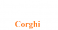 Corghi lifts spare parts